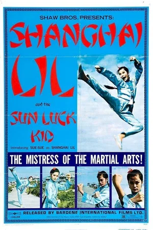 Affiche du film : King karate