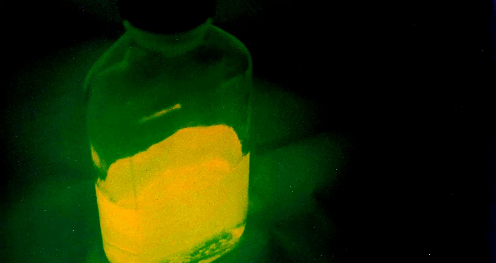 Photo 9 du film : Reanimator