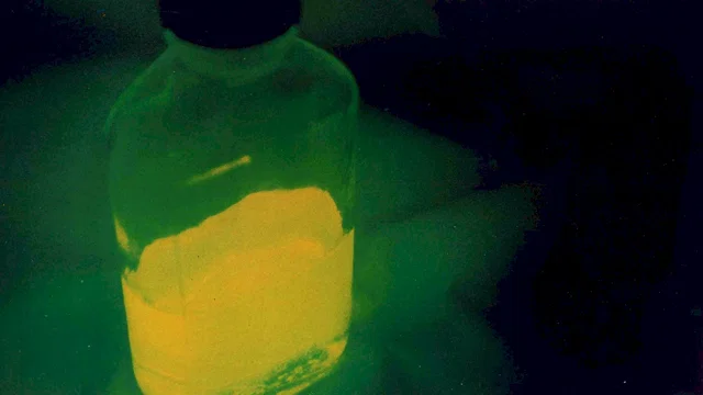 Photo du film : Reanimator