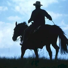 Photo du film : L'homme qui murmurait à l'oreille des chevaux