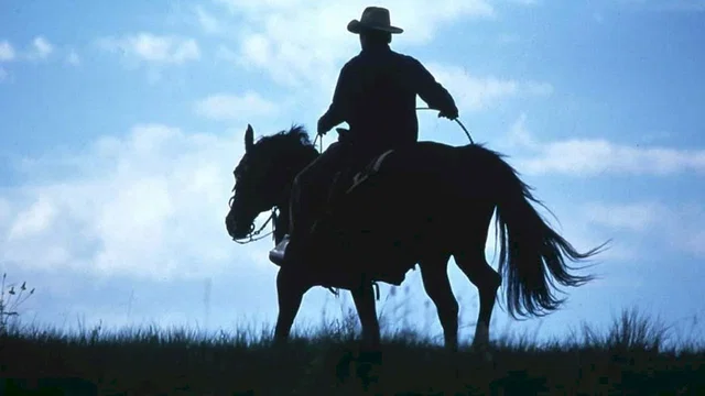 Photo 4 du film : L'homme qui murmurait à l'oreille des chevaux