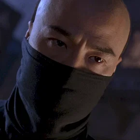 Photo du film : Iron monkey