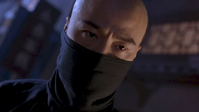 Photo 2 du film : Iron monkey