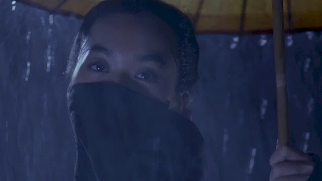 Photo 9 du film : Iron monkey