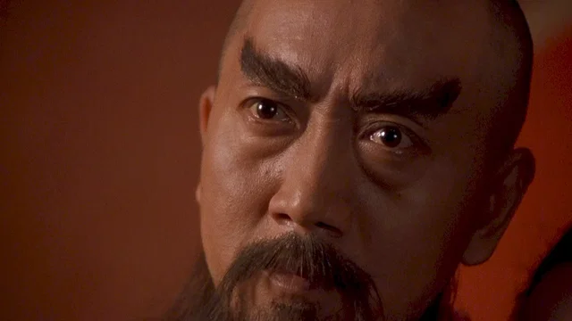 Photo 10 du film : Iron monkey