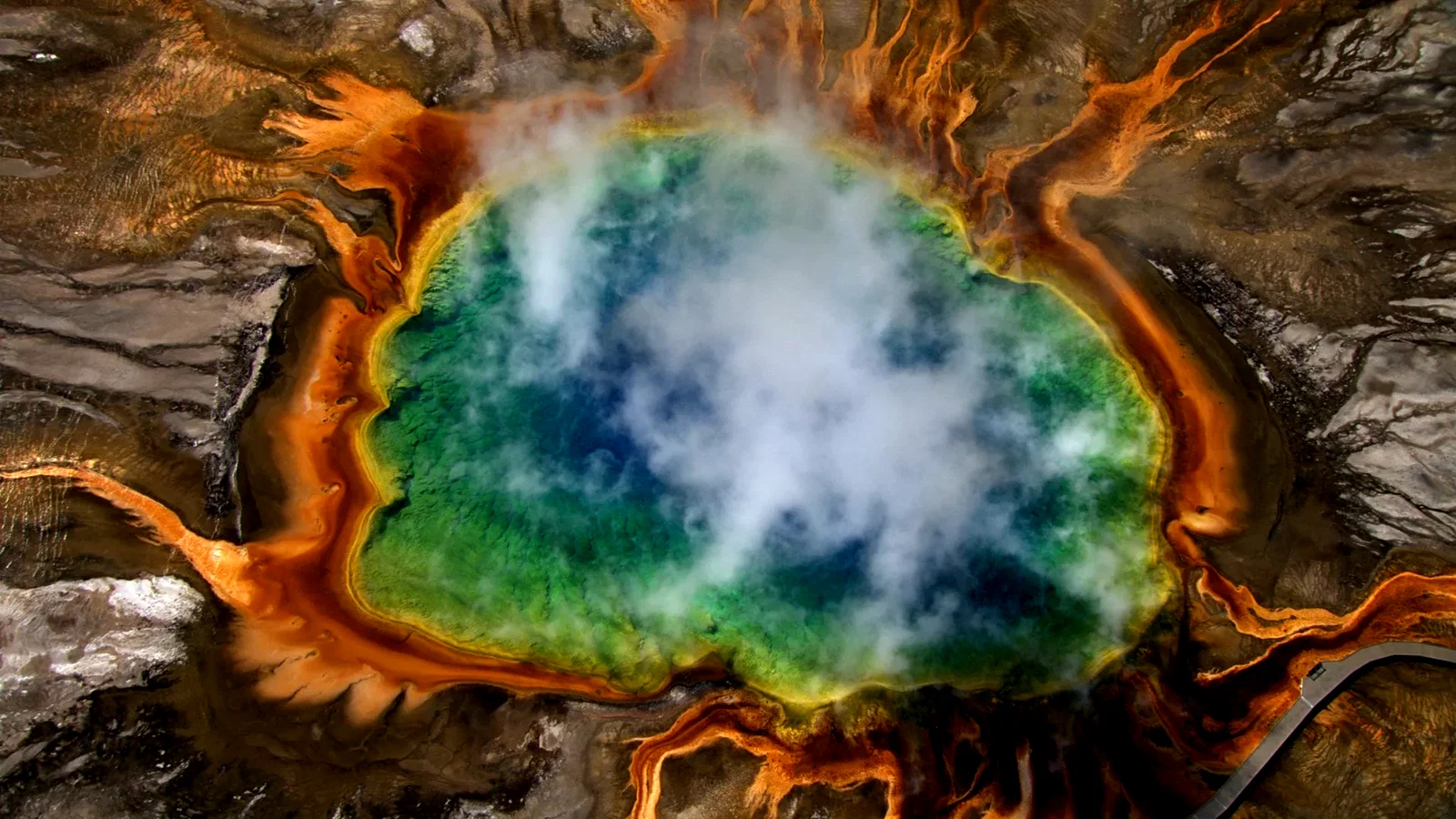 Photo 2 du film : Yellowstone