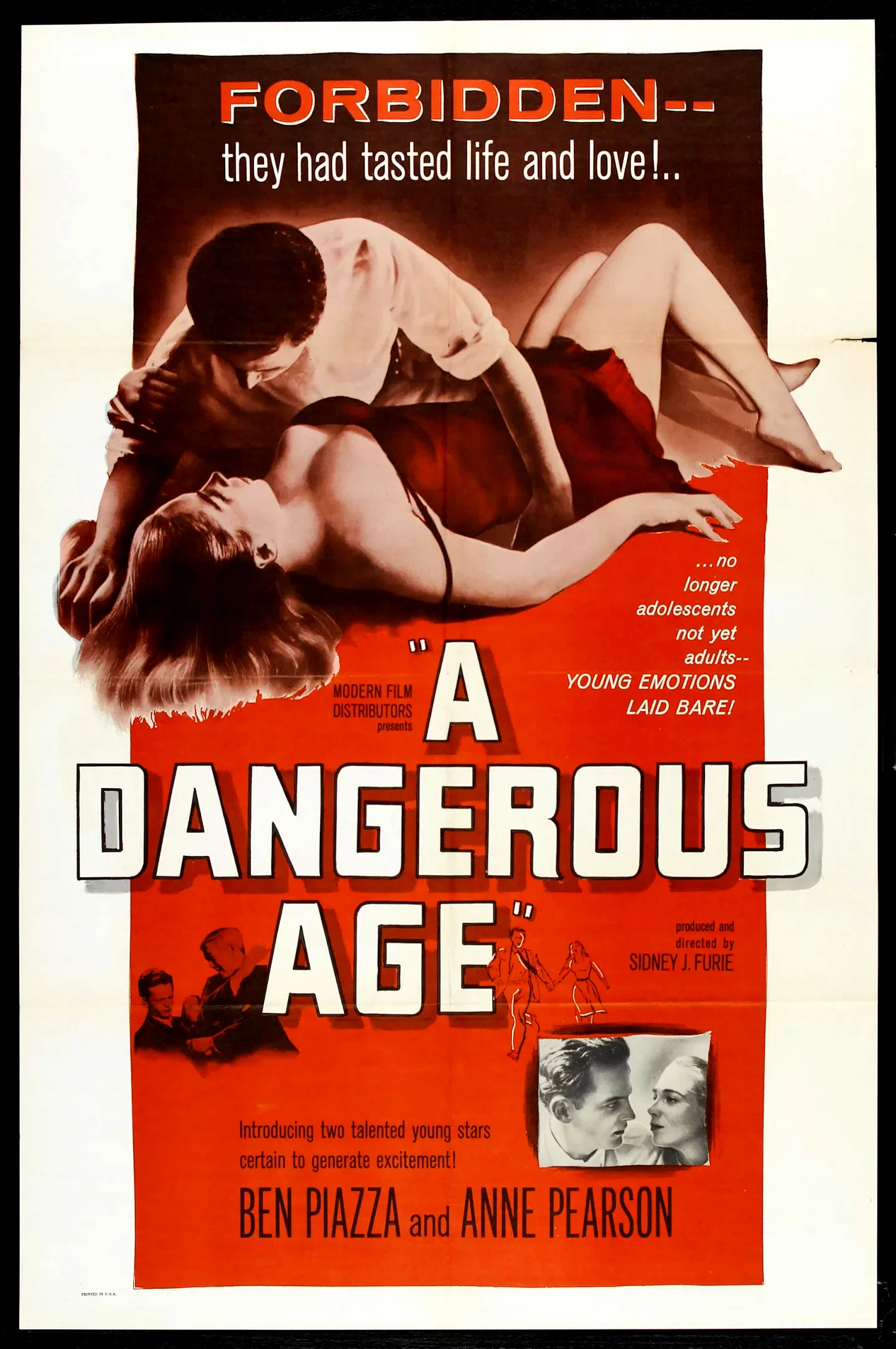 Affiche du film : A dangerous age