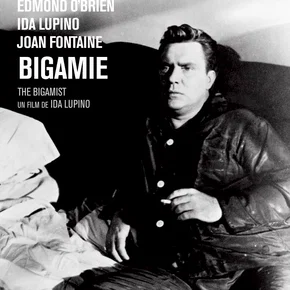 Photo du film : The bigamist