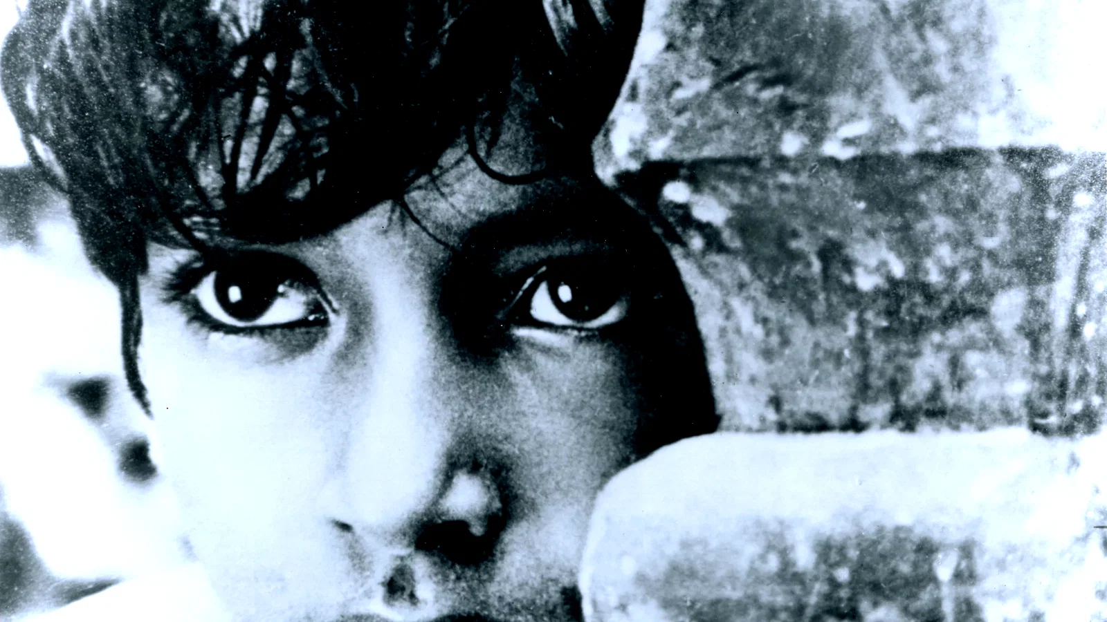 Photo 2 du film : Pather panchali