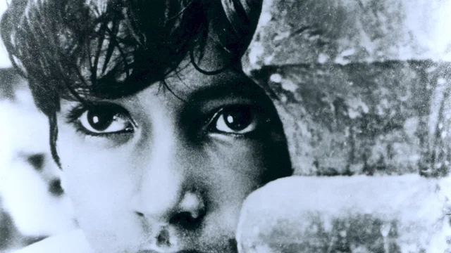 Photo 2 du film : Pather panchali