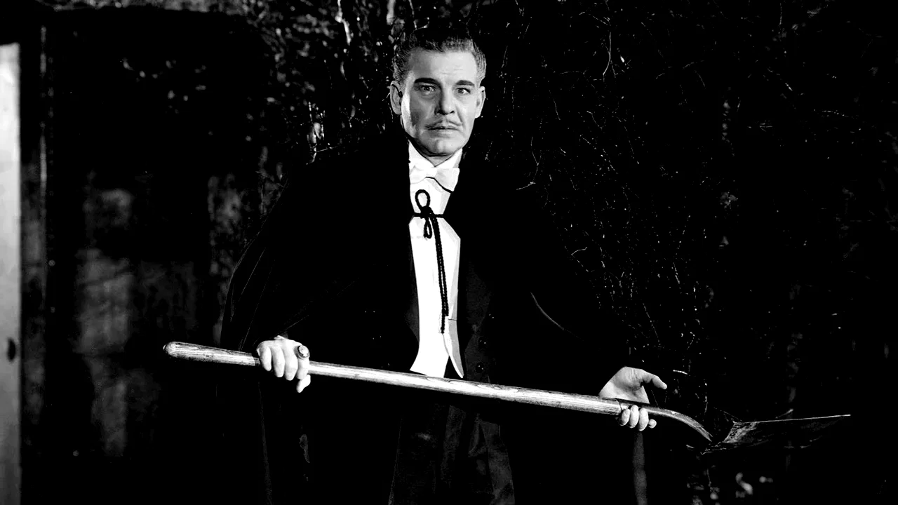 Photo du film : Son of dracula