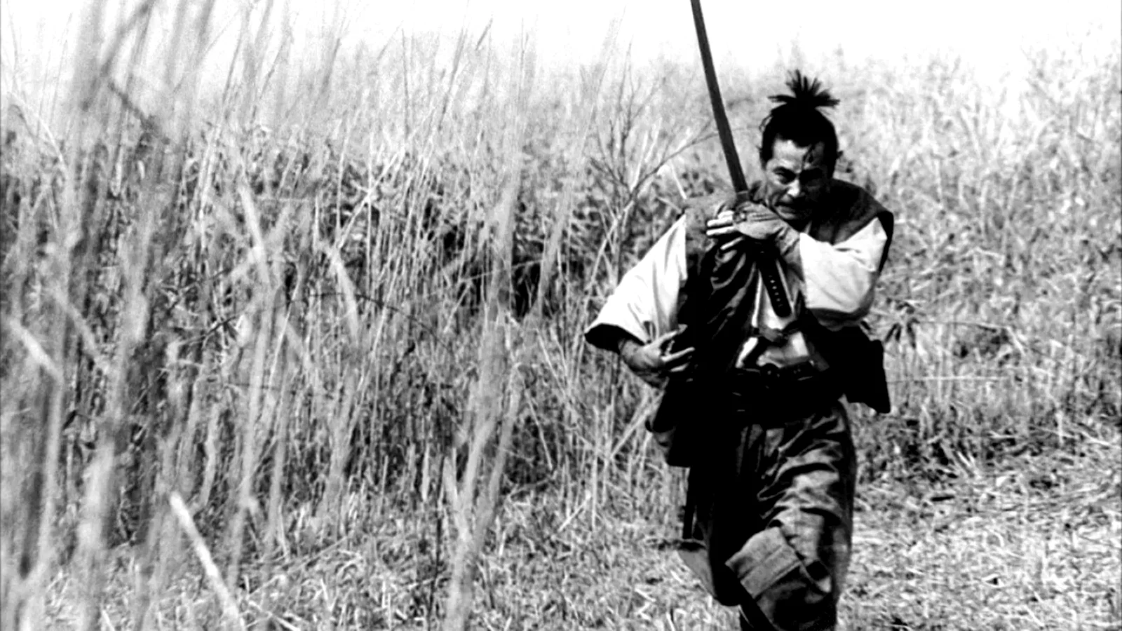 Photo 2 du film : Rebellion