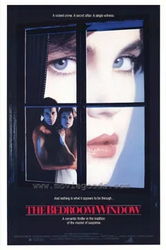 Affiche du film Faux temoin