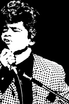 Affiche du film James Brown