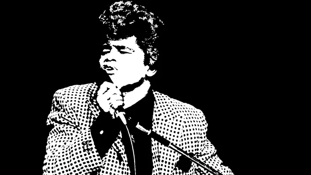Affiche du film : James Brown
