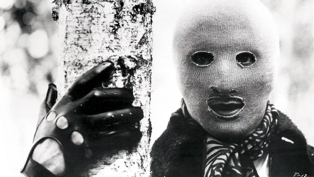 Affiche du film : Torso