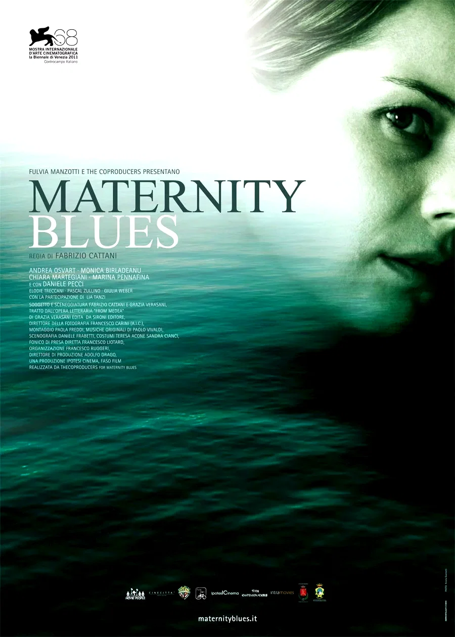 Affiche du film : Maternity Blues