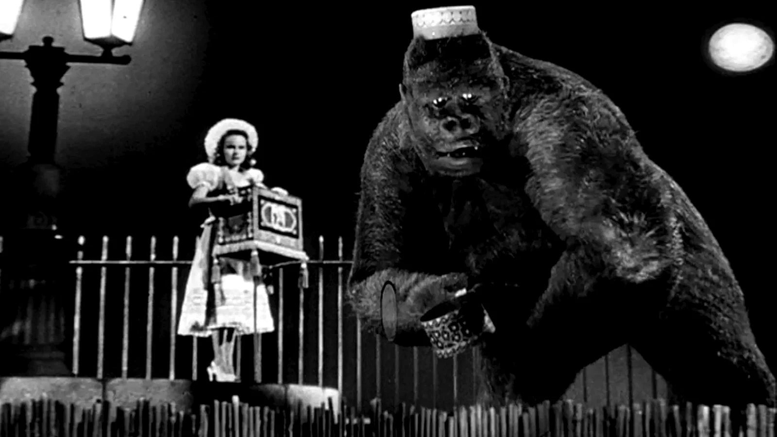 Photo 2 du film : Monsieur joe