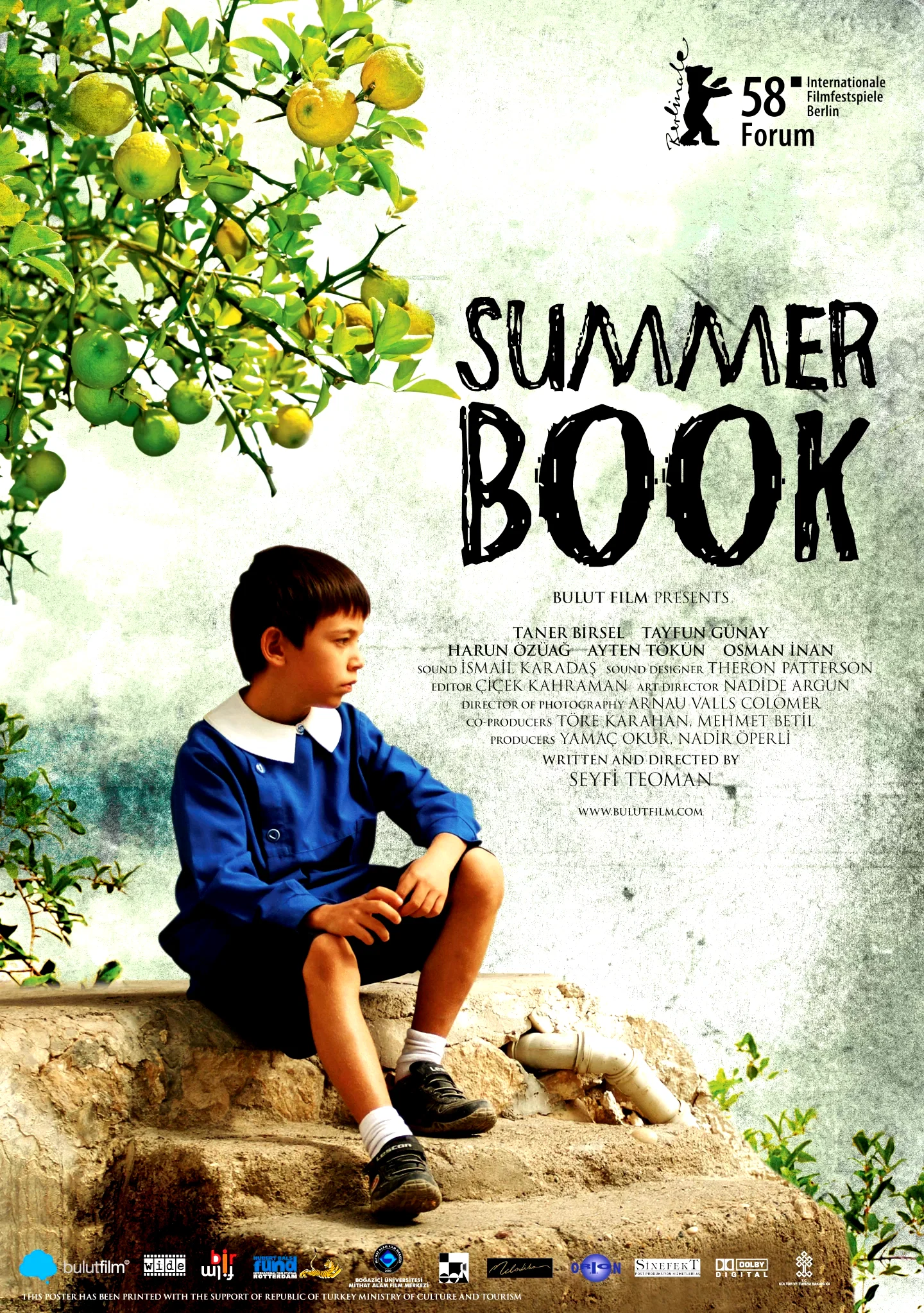 Affiche du film : Summer Book