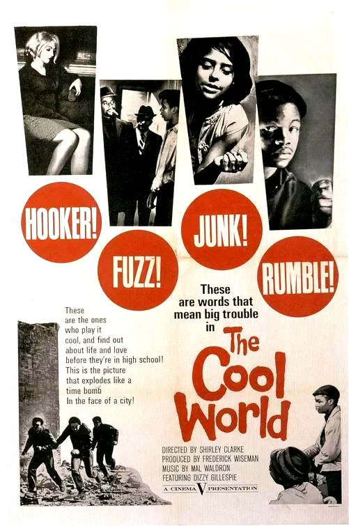 Affiche du film : The cool world