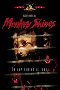 Affiche du film Incidents de parcours