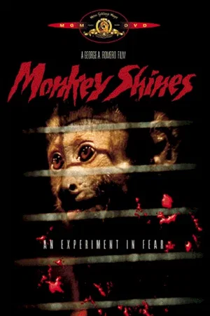 Affiche du film : Incidents de parcours