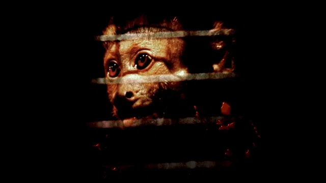 Photo 3 du film : Incidents de parcours