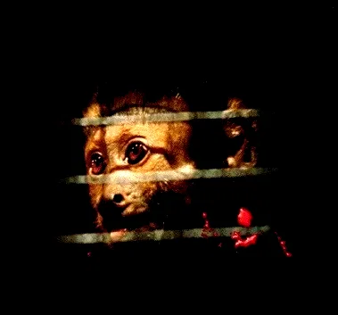 Photo du film : Incidents de parcours