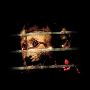 Photo du film : Incidents de parcours