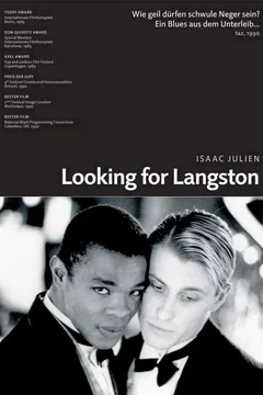 Affiche du film Looking for langston