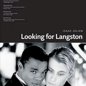Photo du film : Looking for langston