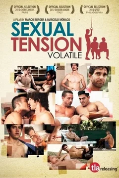 Affiche du film Sexual Tension : Volatile
