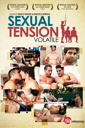 Affiche du film : Sexual Tension : Volatile