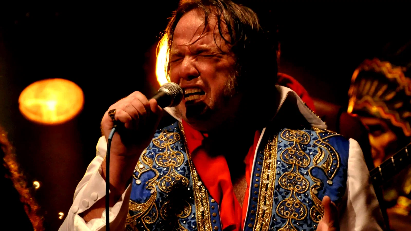 Photo 2 du film : The Last Elvis