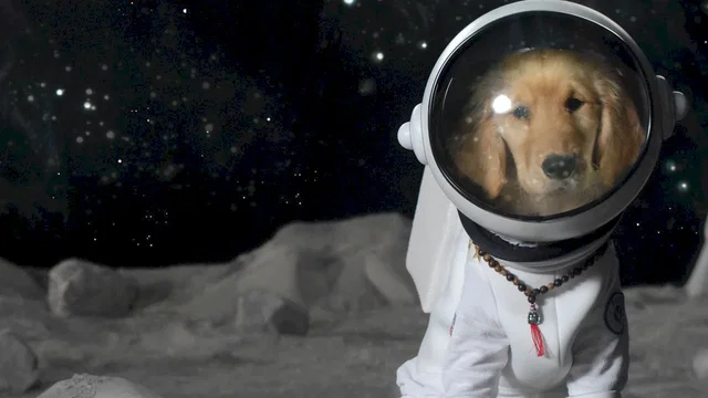 Affiche du film : Les Copains de l'espace