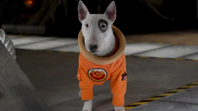 Photo du film : Les Copains de l'espace
