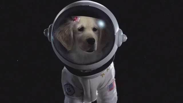 Photo du film : Les Copains de l'espace