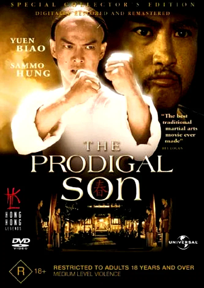 Affiche du film : The Prodigal Son