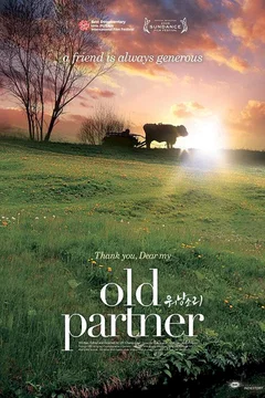 Affiche du film Old partner