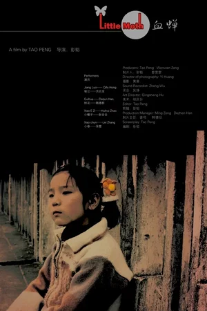 Affiche du film : Little moth