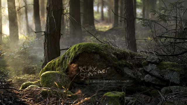Photo 6 du film : Kooky