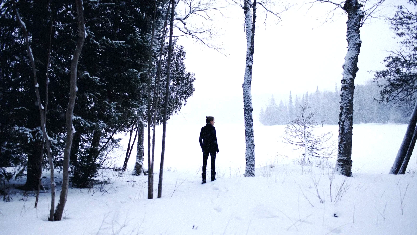 Photo 2 du film : Condition
