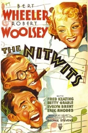 Affiche du film : The nitwits