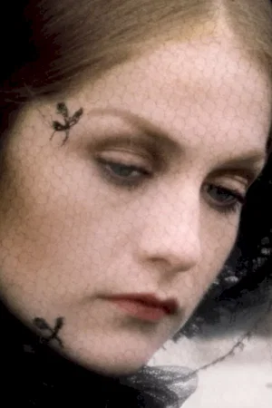 Affiche du film : La dame