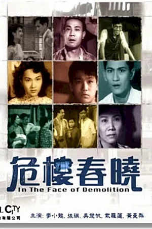 Affiche du film : In the face of demolition