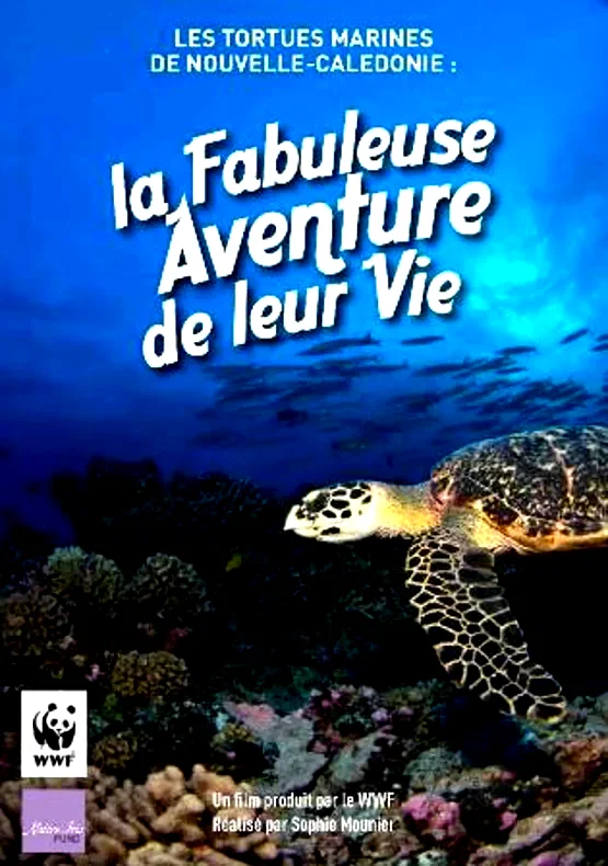 Affiche du film : Les marines