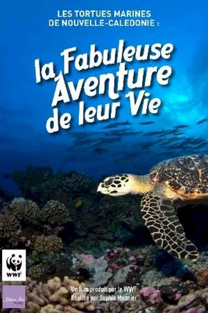 Affiche du film : Les marines