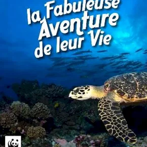 Photo du film : Les marines