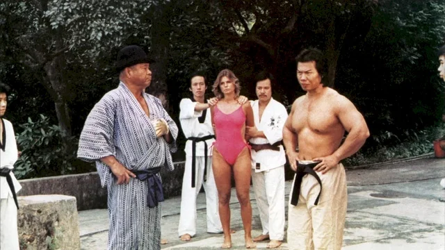 Photo 3 du film : Bruce contre attaque