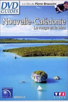 Affiche du film Le Rouge et le bleu